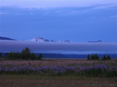 Glacier Bay Country Inn Густавус Экстерьер фото